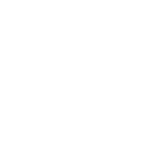 icon-linkedin-white